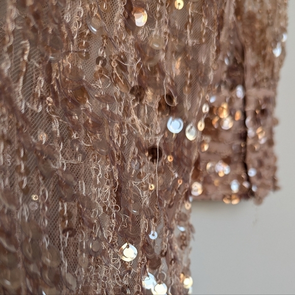 Zara Sequin Button Up Sheer Cardigan Long Sleeve Midi Shirtdress Rose Gold sz M - Picture 4 of 9